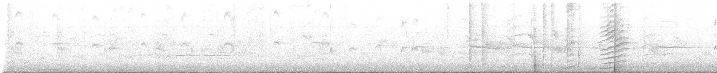 Puerto Rican Woodpecker - ML638414047