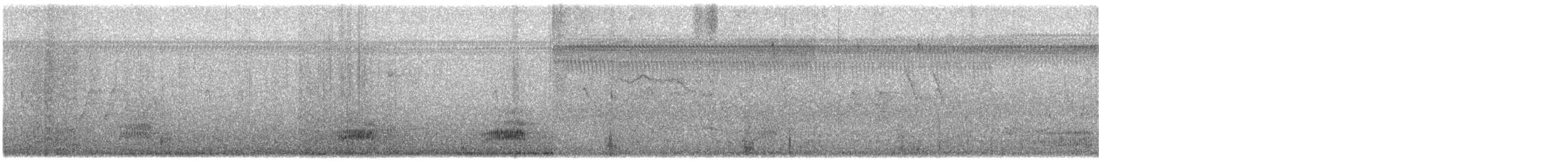Mallard x Mexican Duck (hybrid) - ML638414580