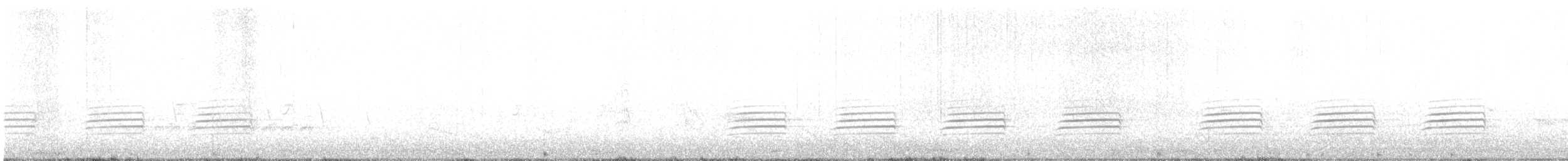 Weißbrustkleiber - ML638415675