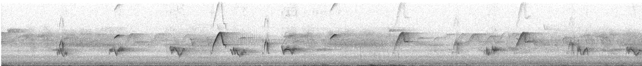 Western Flycatcher (Cordilleran) - ML638415705