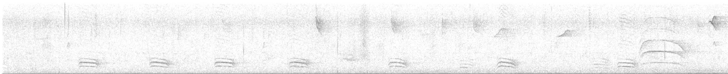 Variable Antshrike - ML638416051