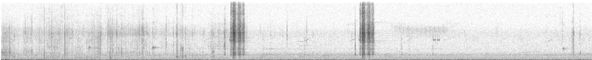 Ash-throated Flycatcher - ML638416422