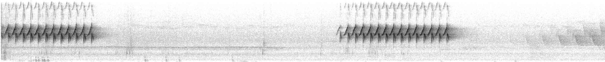 strnadec zimní (ssp. hyemalis/carolinensis) - ML638416583