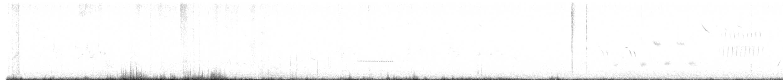 Bruant noir et blanc - ML638416760