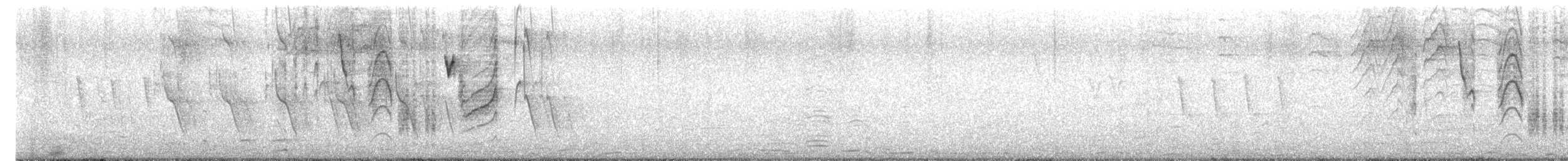 Troglodyte austral - ML638417289