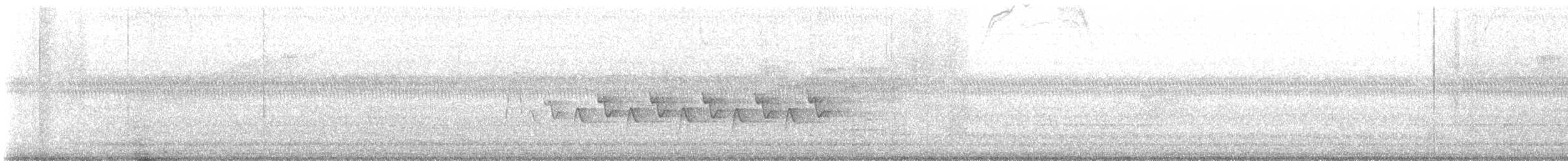 kentuckyparula - ML638417378