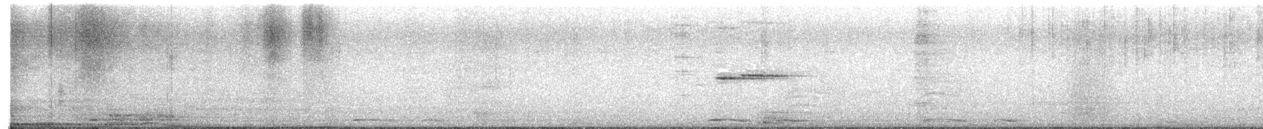 Colibri circé - ML638418876