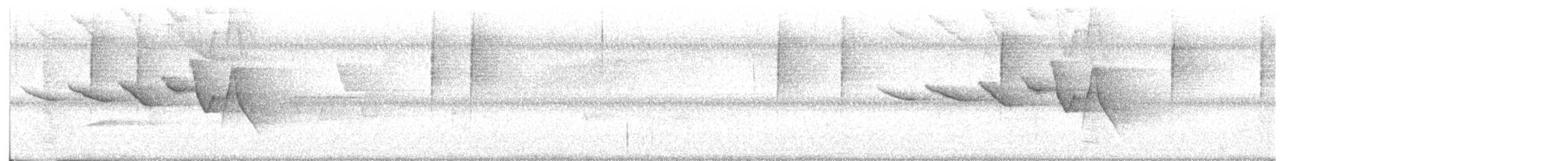 Swainson's Warbler - ML638418940