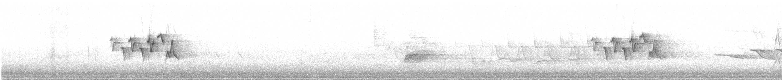 Magnolia Warbler - ML638419541