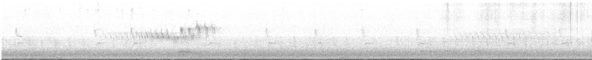 Black-throated Gray Warbler - ML638419762