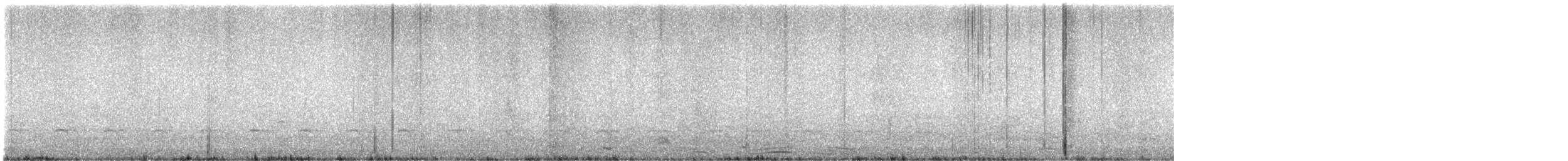 Peruvian Thick-knee - ML638420597