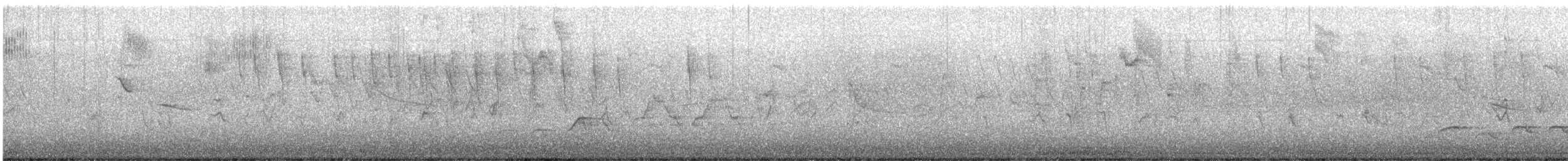 Swainson's Thrush - ML638420700
