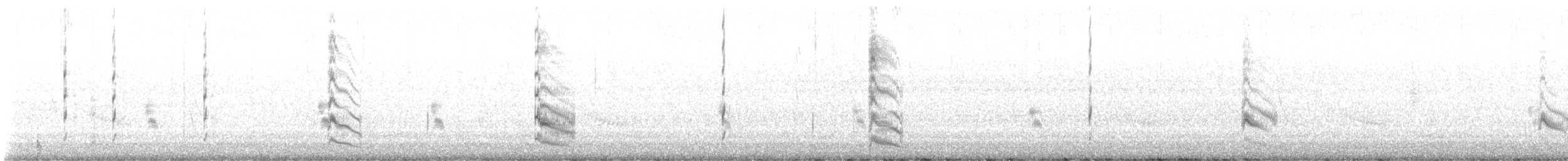 Forster's Tern - ML638420883