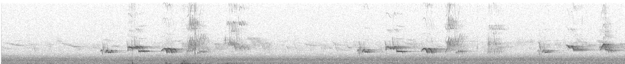 קיכלי נודד - ML638421306