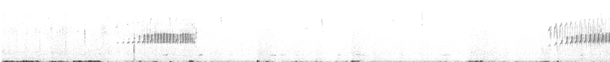 Streak-backed Canastero - ML638421589