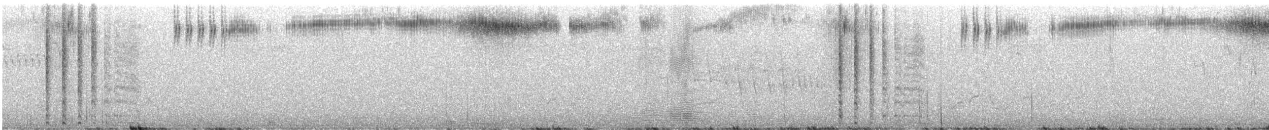 Rufous Hummingbird - ML638422082