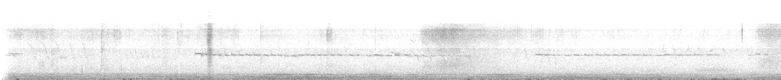 Northern Beardless-Tyrannulet - ML638422203