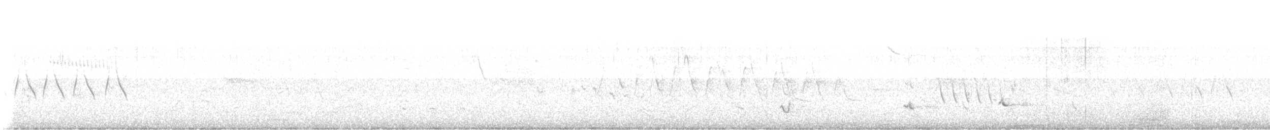 Ocellated Thrasher - ML638422428