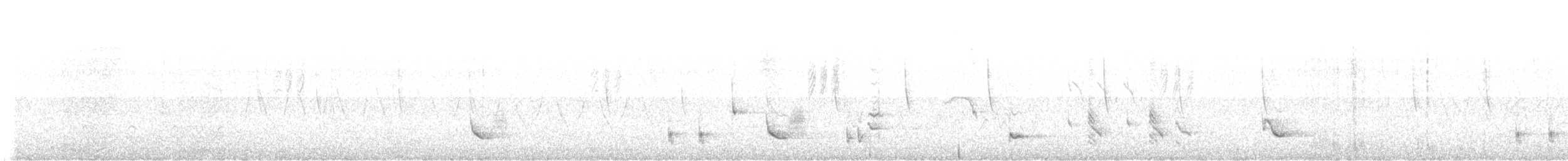 Tropfenspottdrossel - ML638422570