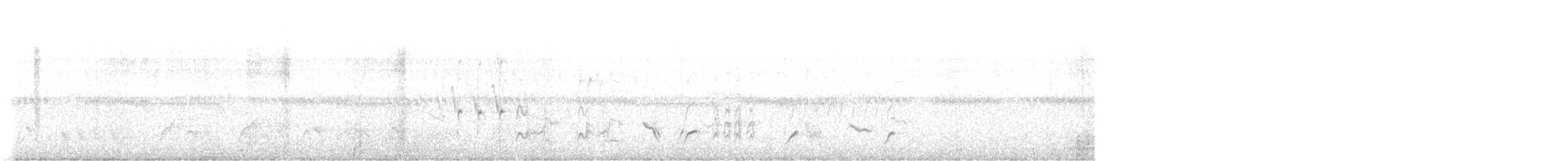 Krummschnabel-Spottdrossel [curvirostre-Gruppe] - ML638422618