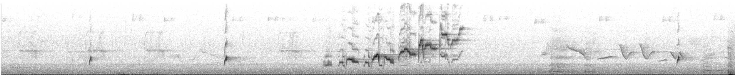 Zwergmusendrossel - ML638423103