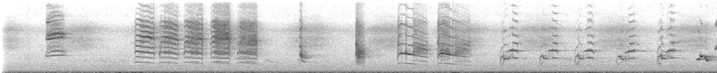 חקיינית צפונית - ML638423834