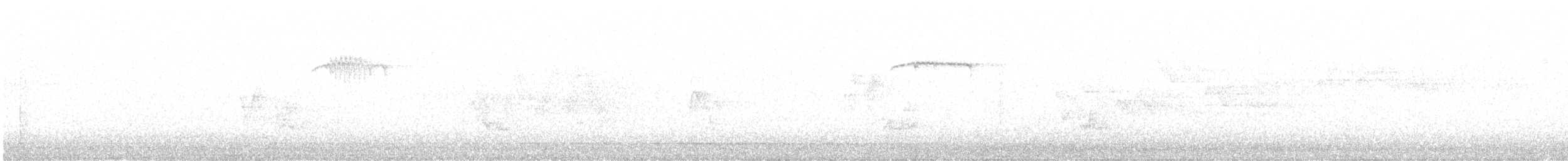 Buztanori amerikarra - ML638424532
