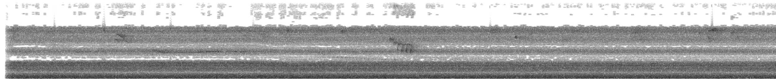 Gray Hawk - ML638424662