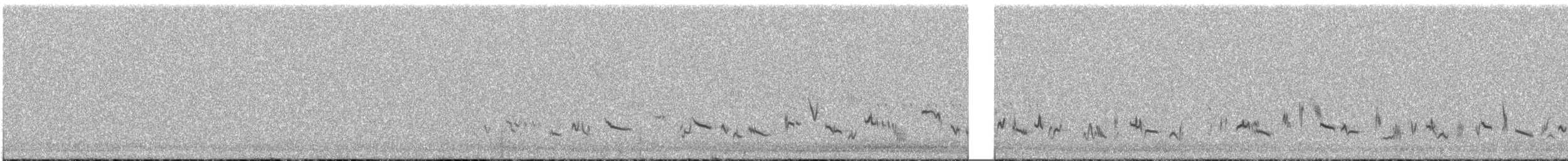 Sage Thrasher - ML638424826