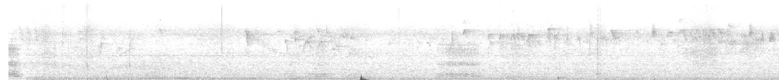 Chaetura sp. - ML638426055