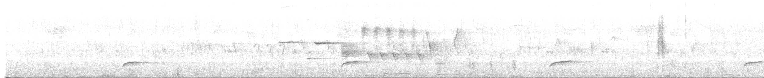Swainson's Thrush - ML638427428