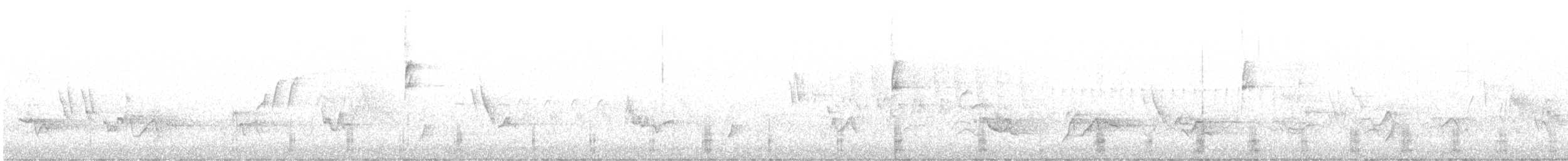Common Merganser (North American) - ML638430354