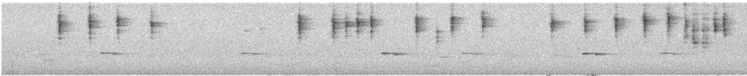 Striated Thornbill - ML638433645