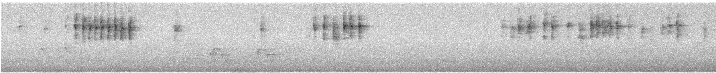 Striated Thornbill - ML638435136