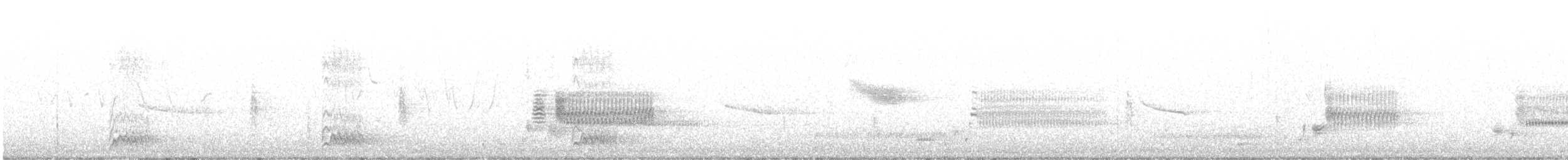 Red-bellied Woodpecker - ML638436182
