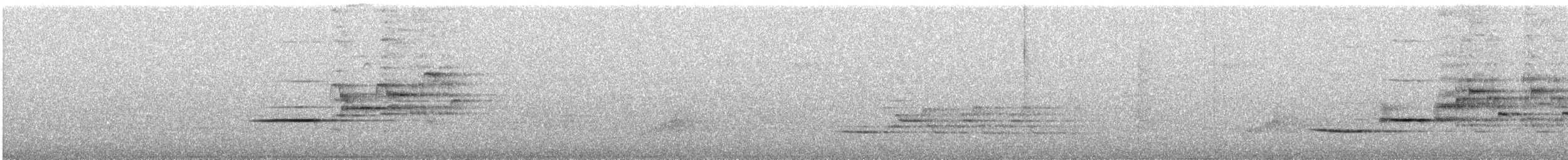 Münzevi Bülbül Ardıcı - ML63843631