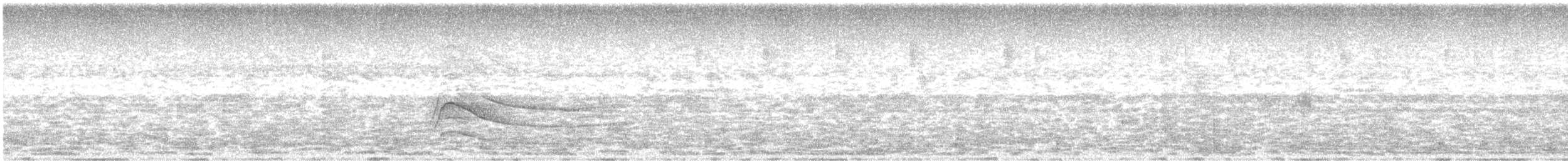 Roadside Hawk - ML638437250