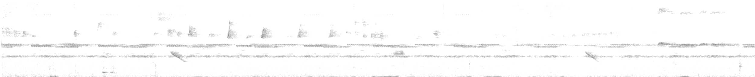 Rufous-tailed Hummingbird - ML638437570