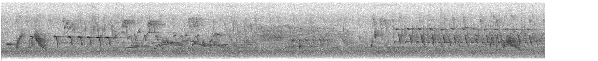 メジロハエトリ - ML638437632