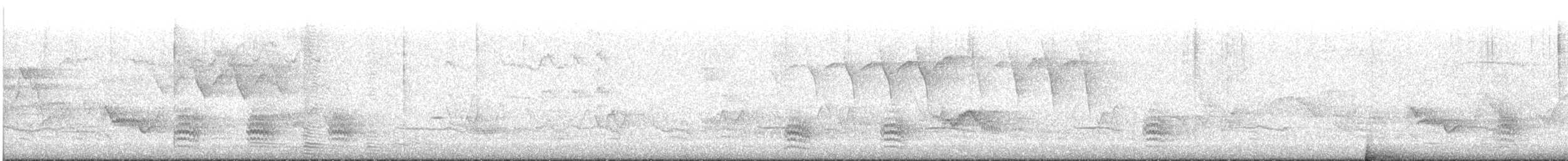 Weißbrustkleiber - ML638437702