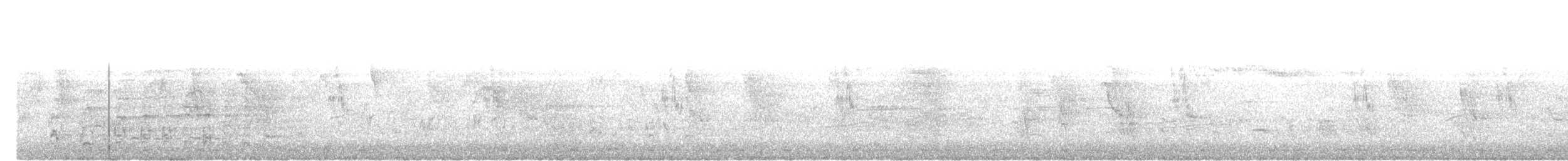 Oriental Pied-Hornbill - ML638438018