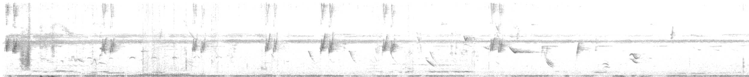 Brillensperlingspapagei - ML638438127