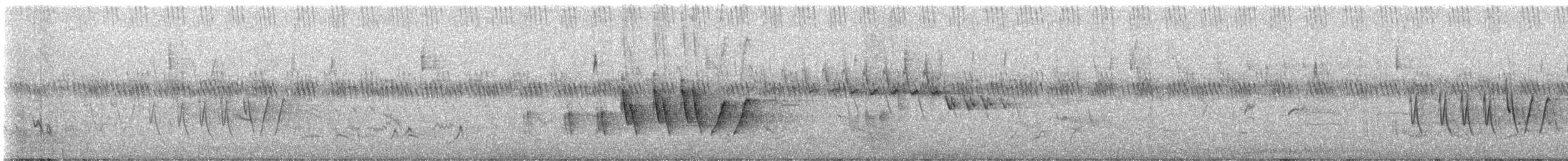 brannfeltparula - ML638438431