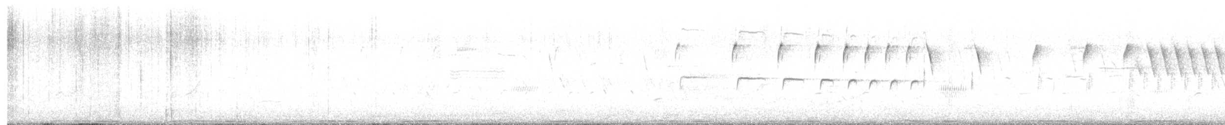 カワラバト（ドバト、家畜型） - ML638438876