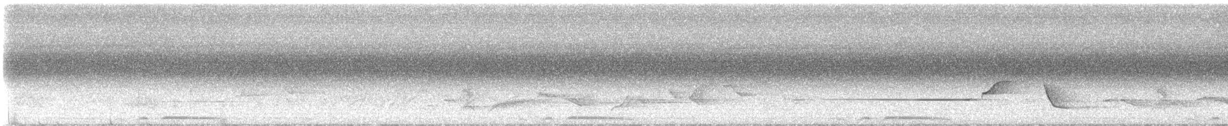 Brownish-flanked Bush Warbler - ML638439073