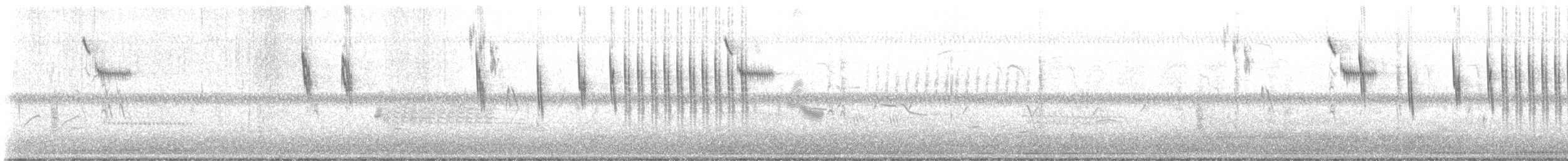 Sedge Wren - ML638439490