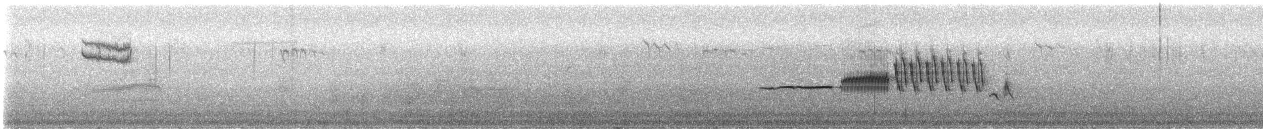 White-crowned Sparrow - ML638439879