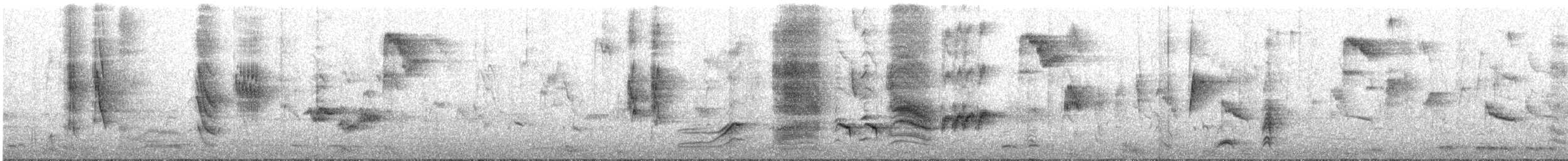 Black-bellied Starling - ML638440037