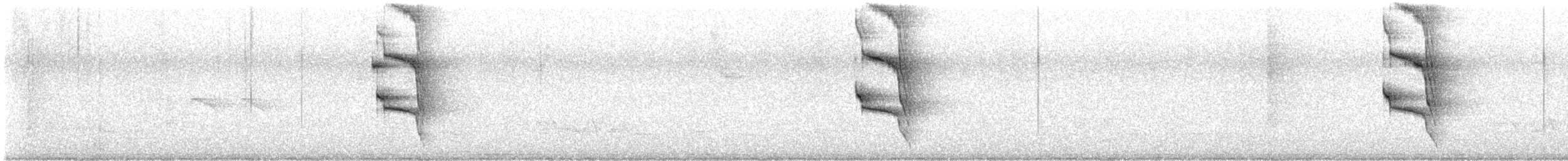 Social Flycatcher - ML638441447