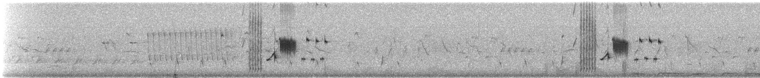 Black-throated Sparrow - ML638442914